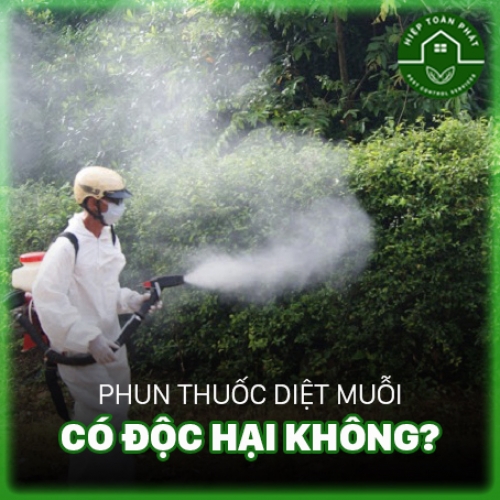 Phun thuốc diệt muỗi có độc hại không