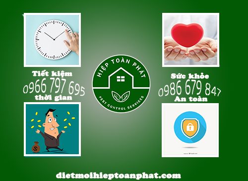5 lí do bạn nên lựa chọn công ty diệt côn trùng tại nhà