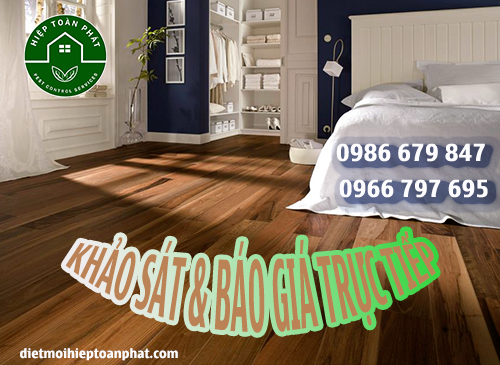 Bảng Giá Diệt Mối Tận Gốc Tại Thủ Đức – Hiệp Toàn Phát