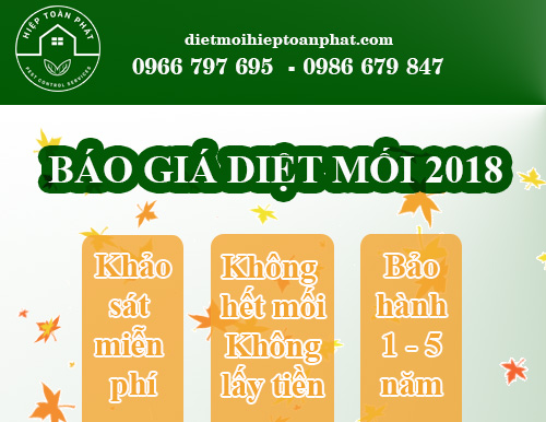 Diệt mối giá bao nhiêu – Hiệp Toàn Phát báo giá diệt mối 2018