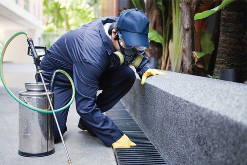 ĐỊNH MỨC PHÒNG TRỪ MỐI TRONG CÔNG TRÌNH XÂY DỰNG VÀ XỬ LÝ CÔN TRÙNG GÂY HẠI