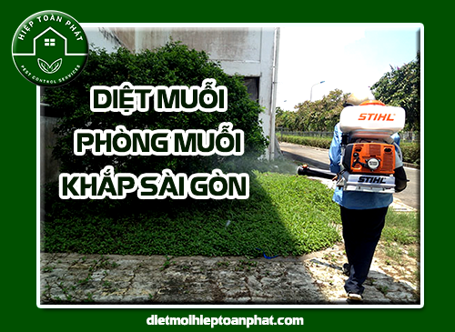 Diệt Sạch Muỗi Với Dịch Vụ Diệt Muỗi Tại TP Hồ Chí Minh