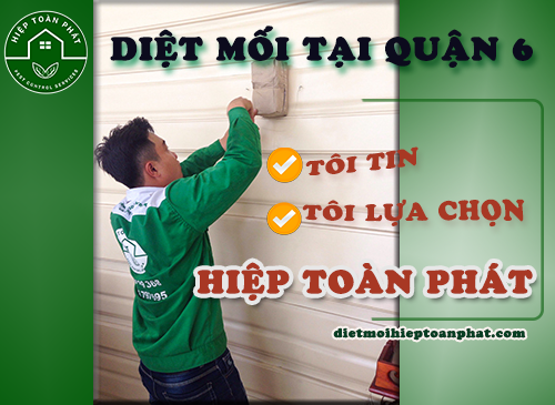 Tôi chọn dịch vụ tiêu diệt mối hiệu quả tại quận 6 như thế nào