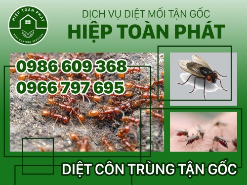 Top 3 côn trùng gây hại cần tránh trong mùa hè
