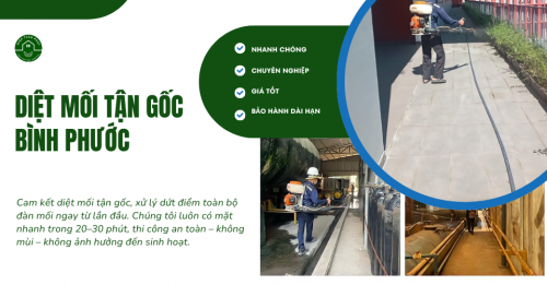 Diệt mối tận gốc tại Bình Phước, có mặt ngay, xử lý nhanh - 0932 524 886