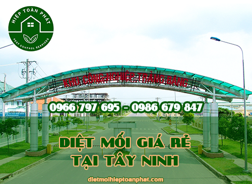 DIỆT MỐI GIÁ RẺ TẠI TÂY NINH 0966797695