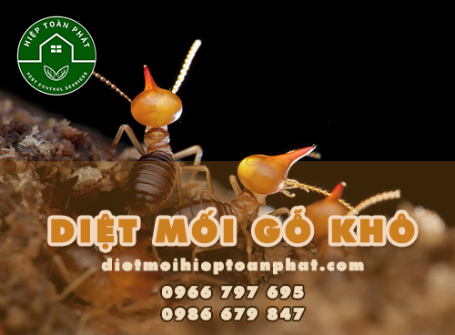 DIỆT MỐI GỖ KHÔ - HIỆP TOÀN PHÁT