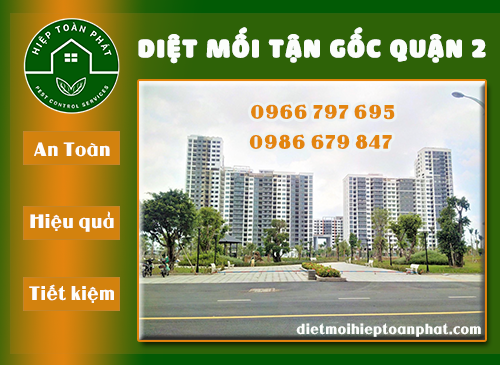 DIỆT MỐI QUẬN 2 | HIỆP TOÀN PHÁT | 0966 797 695