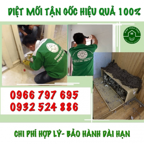 Mua thuốc diệt mối tại quận 4 - Địa chỉ bán thuốc diệt mối quận 4 Hiệp Toàn Phát