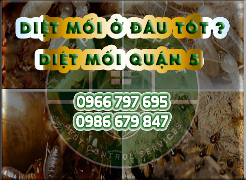 DIỆT MỐI Ở ĐÂU TỐT HIỆP TOÀN PHÁT DIỆT MỐI QUẬN 5