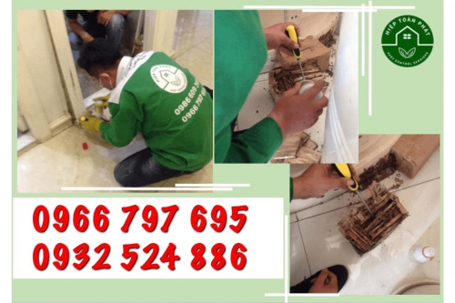 Diệt mối Bến Lức, Long An - Diệt mối tại Bến Lức