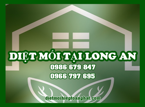 DIỆT MỐI TẠI LONG AN – HIỆP TOÀN PHÁT 0966797695