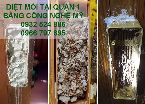 Diệt Mối Tại Quận 1 Bằng Công Nghệ Mỹ