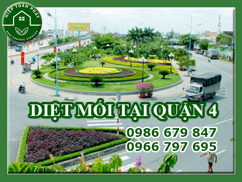 DIỆT MỐI TẠI QUẬN 4 - DIỆT SẠCH MỐI 100%