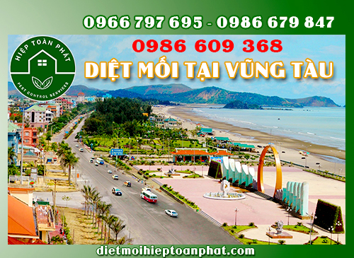 DIỆT MỐI TẠI VŨNG TÀU