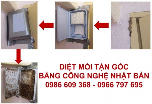 Diệt Mối Bằng Công Nghệ Nhật Bản Xterm Tại TPHCM