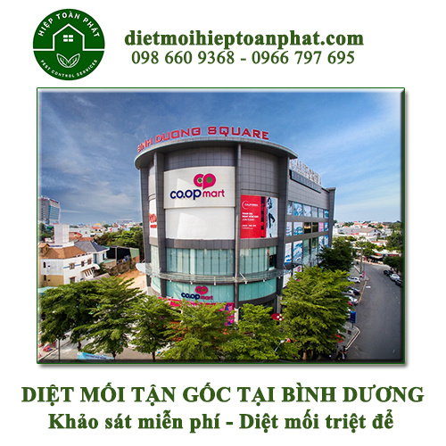 Diệt mối tận gốc tại Bình Dương | 098 660 9368 - 0966 797 695