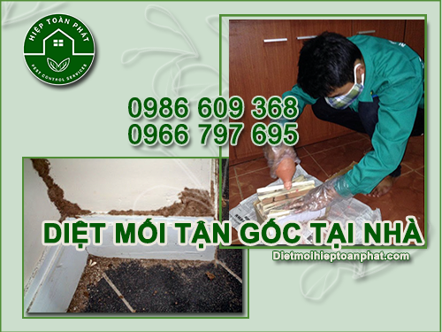DIỆT MỐI TẬN GỐC TẠI NHÀ