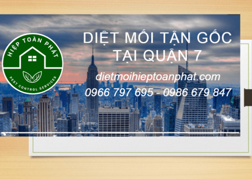 CÔNG TY DIỆT MỐI TẠI QUẬN 7