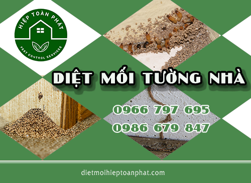 DIỆT MỐI TƯỜNG NHÀ HIỆU QUẢ 100% BẰNG PHƯƠNG PHÁP SINH HỌC