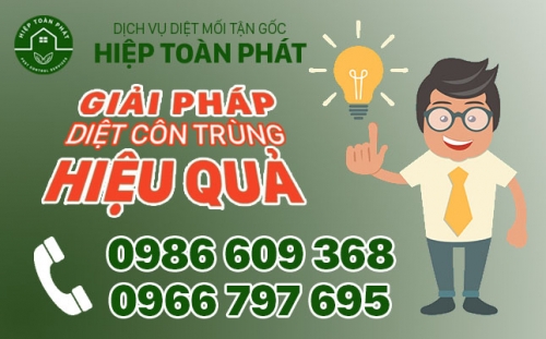 PHƯƠNG PHÁP DIỆT MỐI TẬN GỐC NGAY TẠI NHÀ