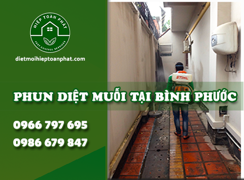 DỊCH VỤ PHUN DIỆT MUỖI TẠI BÌNH PHƯỚC | KIỂM SOÁT CÔN TRÙNG
