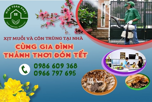 Phun diệt muỗi và côn trùng - dọn nhà đón Tết