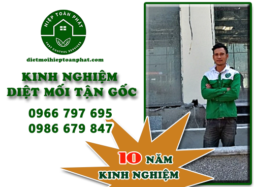 PHƯƠNG PHÁP DIỆT MỐI TẬN GỐC TỪ CHUYÊN GIA 10 NĂM TRONG NGHỀ