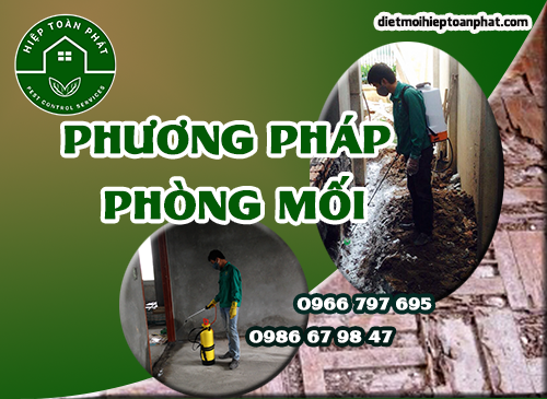 Tập Hợp Các Phương Pháp Trong Quy Trình Chống Mối tại Hiệp Toàn Phát