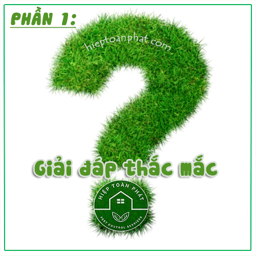 Tổng hợp những câu hỏi thường gặp (Phần 1) | Hiệp Toàn Phát
