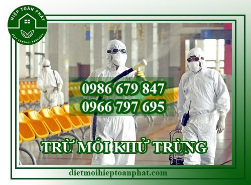 DỊCH VỤ PHÒNG MỐI, TRỪ MỐI KHỬ TRÙNG | HIỆP TOÀN PHÁT