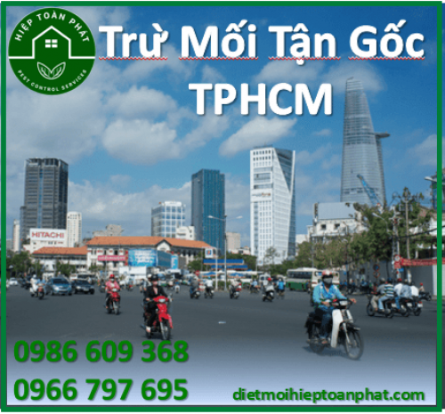 TRỪ MỐI TẬN GỐC TẠI TPHCM, NỖI LO LẠ CỦA NGƯỜI THÀNH PHỐ