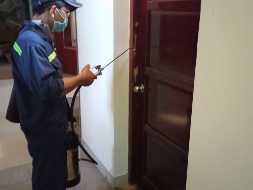 Diệt Mối Quận 4 Giá Rẻ -【Uy Tín - Chất Lượng 100%】