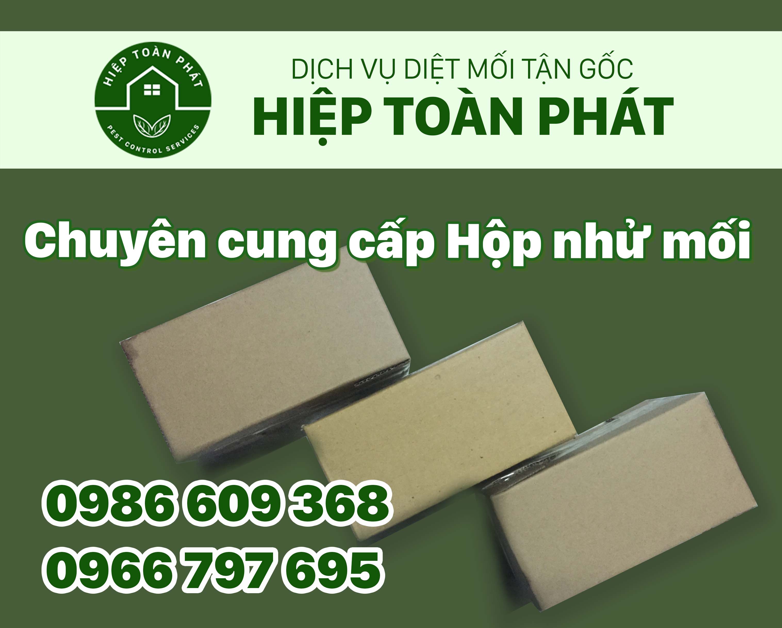 cach-diet-moi-dat-hop-nhu-moi