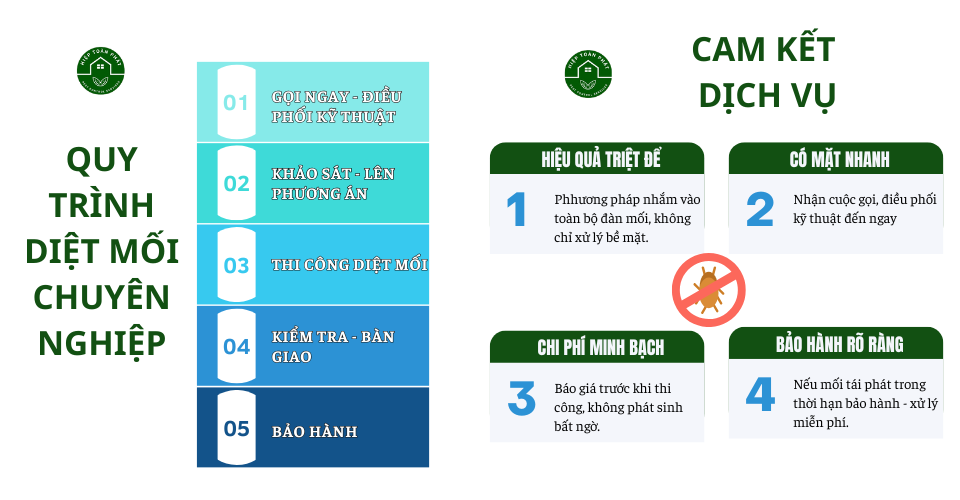 Cam kết dịch vụ diệt mối chuyên nghiệp tại Bình Phước 