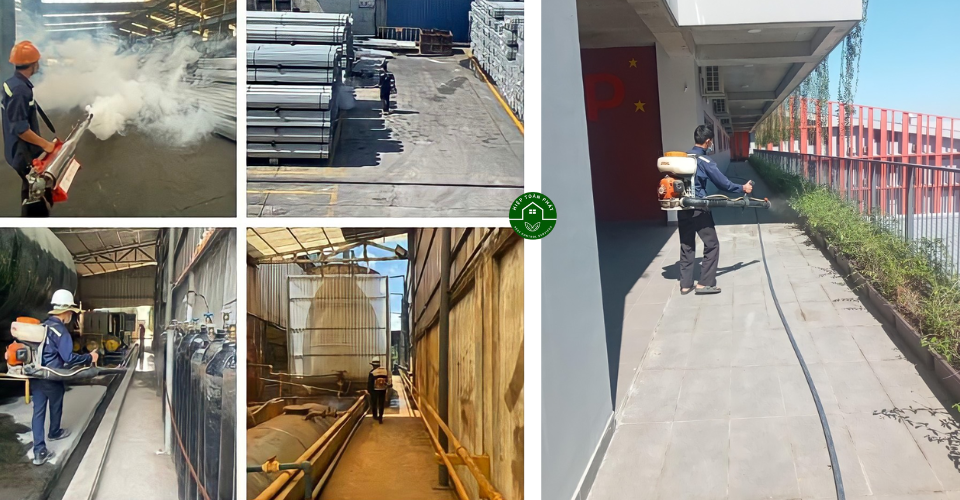 Diệt mối chuyên nghiệp tận gốc tại Bình Phước