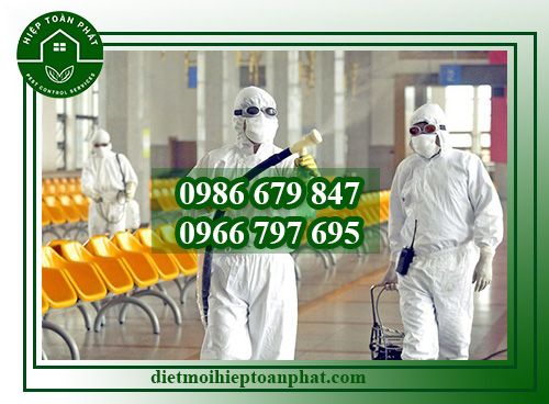 Trừ mối khử trùng Hiệp Toàn Phát