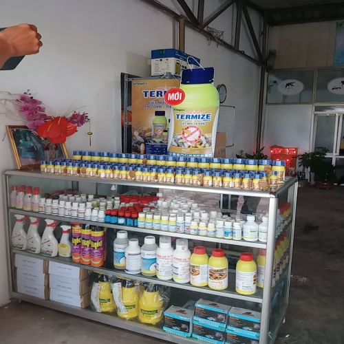 Diệt Mối Tại Biên Hòa, Đồng Nai