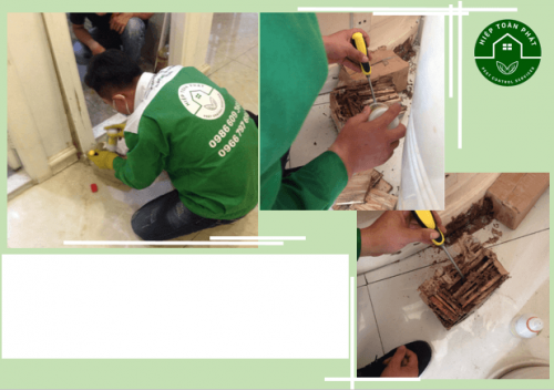 DIỆT MỐI TẠI MÓNG CÁI - 0966 797 695