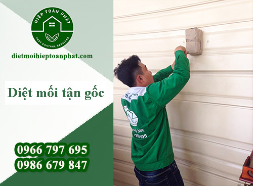 DIỆT MỐI TẬN GỐC QUẬN 7 - 0966 797 695