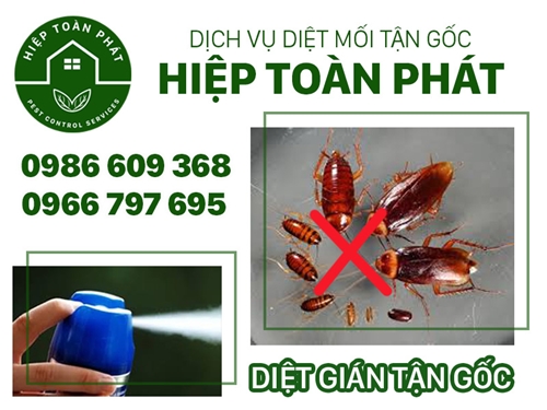 Diệt gián tận gốc