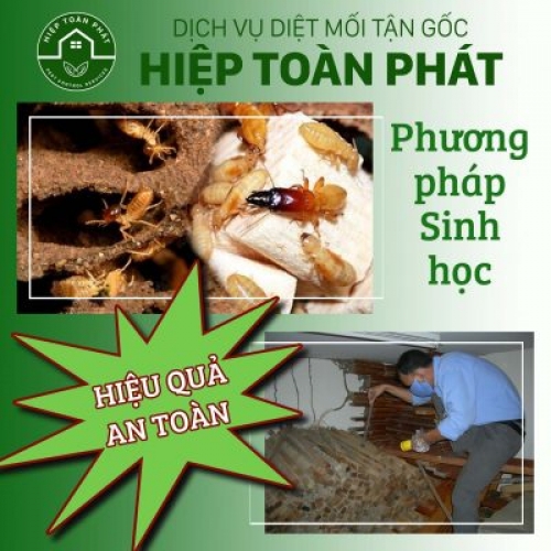 PHƯƠNG PHÁP DIỆT MỐI SINH HỌC HIỆU QUẢ NHẤT HIỆN NAY