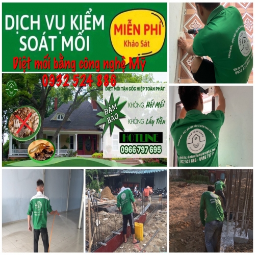 Diệt Mối Tại Long An bằng công nghệ Mỹ