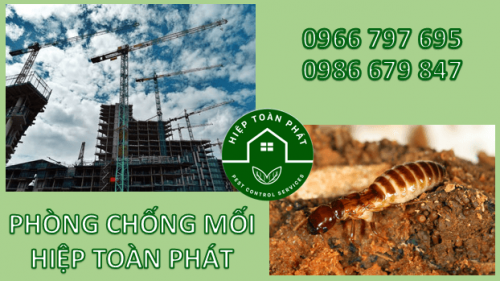 PHÒNG CHỐNG MỐI - NHÀ BẠN CHẮC CHẮN ĐANG CẦN MÀ BẠN KHÔNG HỀ BIẾT