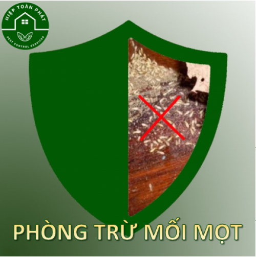 MÁCH BẠN CÁCH PHÒNG CHỐNG VÀ TRỊ MỐI MỌT TẬN GỐC