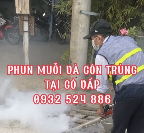 Phun diệt muỗi và côn trùng tại Gò Vấp, TPHCM - 0932 524 886