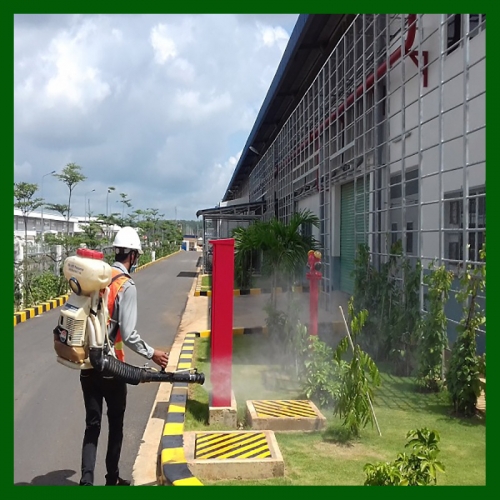 Phun thuốc muỗi và côn trùng định kì