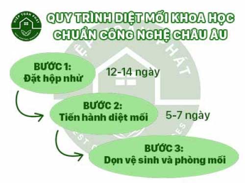 Quy Trình Diệt Mối Tận Gốc