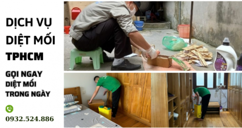 Báo giá Diệt Mối Tận Gốc TPHCM: Miễn Phí Khảo Sát, Bảo Hành Dài Hạn - Dịch Vụ 24 7