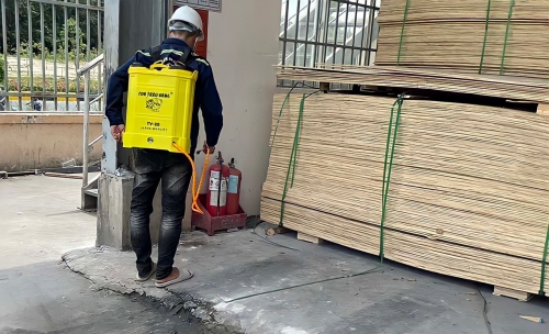 DIỆT MỐI TẬN GỐC TẠI VÂN ĐỒN - 0966 797 695